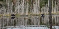 IMG_5353.jpeg