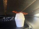 IMG_8450.jpeg