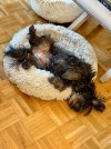 IMG_0018.jpeg
