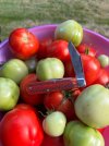 IMG_3914.jpeg