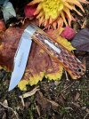 IMG_8582.jpeg
