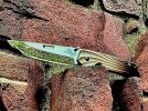 IMG_0749.jpeg