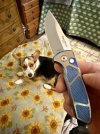 IMG_3572.jpeg