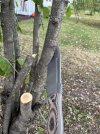 IMG_9612.jpeg