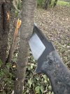 IMG_9618.jpeg