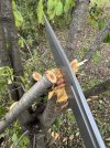 IMG_9616.jpeg