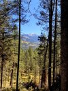 IMG_0099.jpg