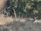 IMG_9535.jpeg