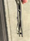 IMG_3934.jpeg