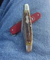 IMG_1624.jpeg