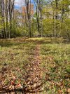 IMG_0969.jpeg