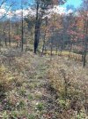 IMG_0970.jpeg