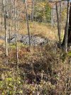 IMG_0971.jpeg