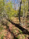 IMG_0984.jpeg