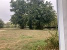 IMG_1630.jpeg