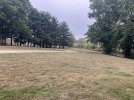 IMG_1629.jpeg
