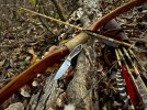 fall knife '23 - 1.jpeg fall knife '23 - 1.jpeg
