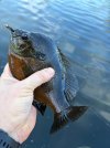 IMG_0698.jpeg