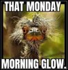 IMG_1076.jpeg