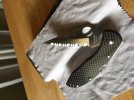 Delica CF.jpg