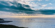 IMG_3970.jpeg