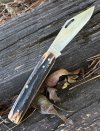 IMG_8109.jpeg