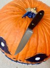 IMG_1182.jpeg