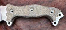 IMG_2644.jpeg