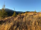 IMG_3973.jpeg