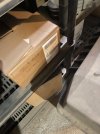 IMG_6396.jpeg