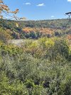 IMG_1017.jpeg