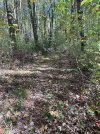 IMG_1019.jpeg