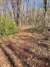 IMG_1018.jpeg