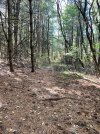 IMG_1025.jpeg