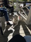 IMG_2249.jpeg
