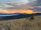 IMG_4003.jpeg