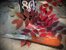 IMG_1840.jpeg