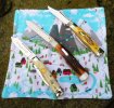 2025-10-18 Stag Gunstocks Canal Street Clever Bulldog.JPG