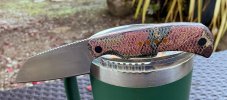 IMG_4162.jpeg