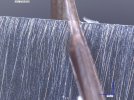 300 scale.jpg