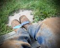 IMG_5446.jpeg