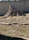 IMG_2425.jpeg