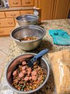 feeding the dogs.jpg