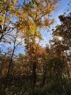 IMG_4462.jpeg