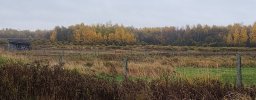 IMG_20251018_093721197.jpg
