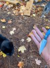 IMG_6469.jpeg