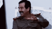 1000019732.gif