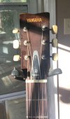 IMG_1405.jpeg
