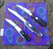 2025-10-23 PURPLE CASE62009 S&M EJ GEC47.JPG