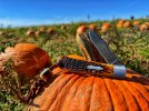 IMG_9918.jpeg